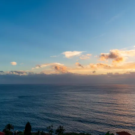 Morze By Madeira Dream Villa Arco da Calheta (Madeira)